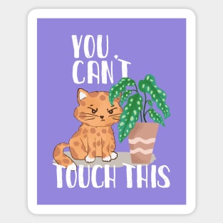 Grumpy Plant eater Cat with funny You Can´t Touch this slogan Sticker